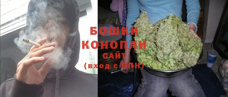 Конопля Bruce Banner  Андреаполь 